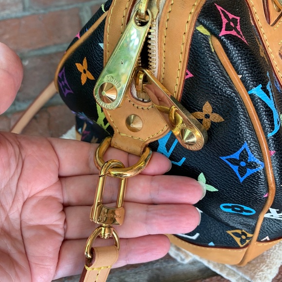 Louis Vuitton Limited Edition Courtney Bag - Picture 4 of 11